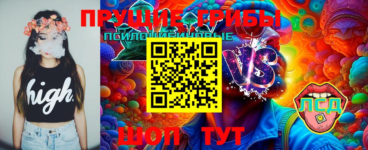 Псилоцибиновые грибы мухоморы Рассказово