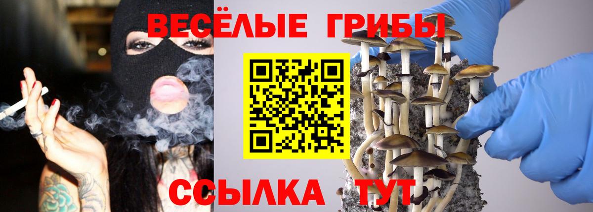 Галлюциногенные грибы Psilocybe  Вход с VPN  Псилоцибиновые грибы Psilocybe  Рассказово 